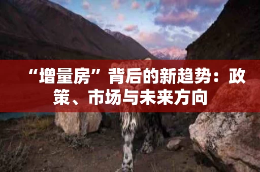 “增量房”背后的新趋势:政策、市场与未来方向 “增量房”背后的新趋势:政策、市场与未来方向
