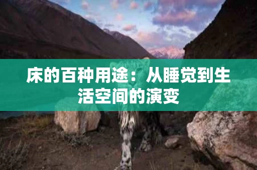 床的百种用途：从睡觉到生活空间的演变