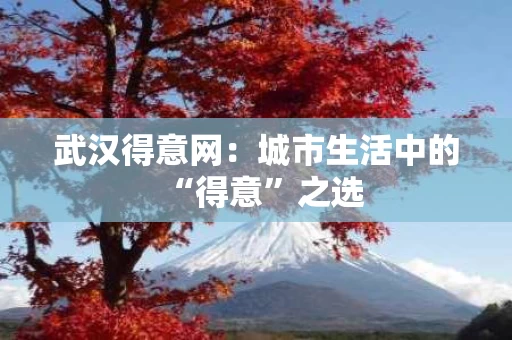 武汉得意网：城市生活中的“得意”之选
