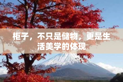 柜子,不只是储物,更是生活美学的体现 柜子,不只是储物,更是生活美学的体现