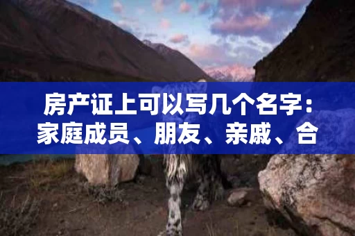 房产证上可以写几个名字:家庭成员、朋友、亲戚、合伙人等的法律边界与实际操作 房产证上可以写几个名字:家庭成员、朋友、亲戚、合伙人等的法律边界与实际操作