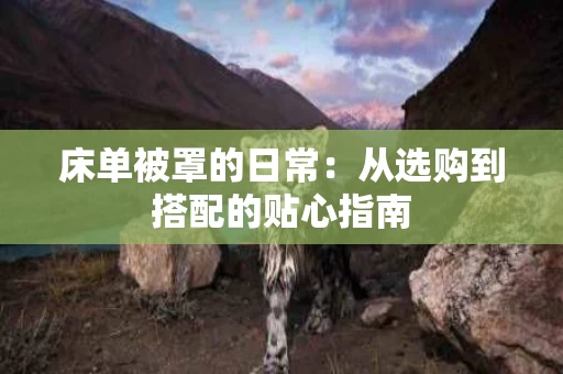 床单被罩的日常:从选购到搭配的贴心指南 床单被罩的日常:从选购到搭配的贴心指南