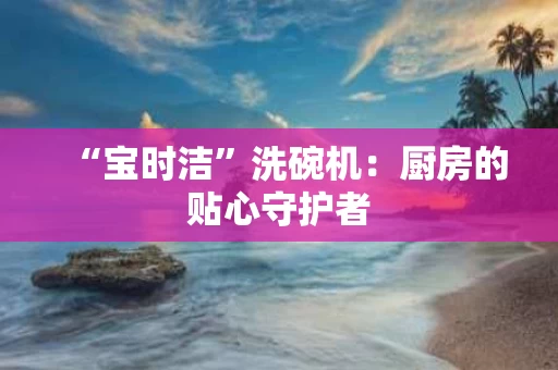 “宝时洁”洗碗机:厨房的贴心守护者 “宝时洁”洗碗机:厨房的贴心守护者