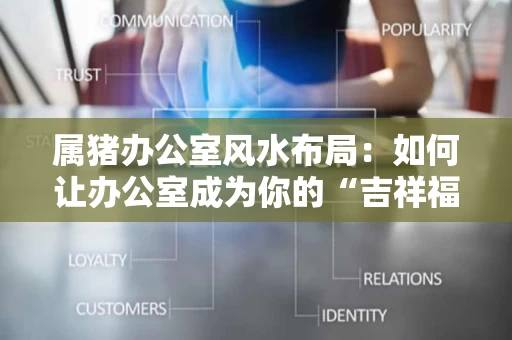 属猪办公室风水布局：如何让办公室成为你的“吉祥福地”