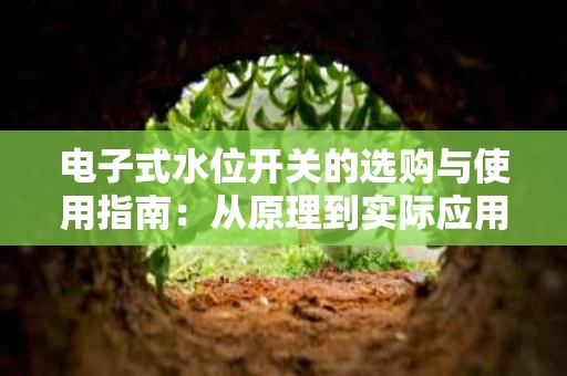 电子式水位开关的选购与使用指南:从原理到实际应用 电子式水位开关的选购与使用指南:从原理到实际应用