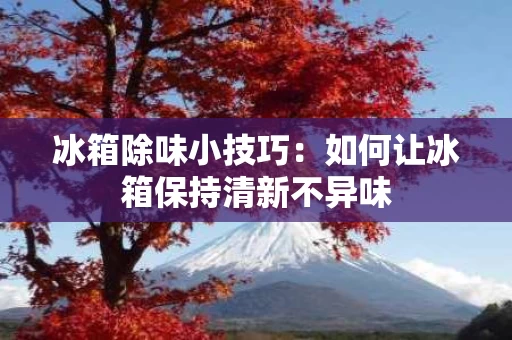 冰箱除味小技巧:如何让冰箱保持清新不异味 冰箱除味小技巧:如何让冰箱保持清新不异味