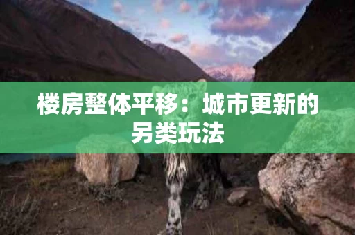 楼房整体平移:城市更新的另类玩法 楼房整体平移:城市更新的另类玩法