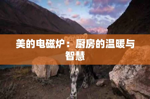 美的电磁炉:厨房的温暖与智慧 美的电磁炉:厨房的温暖与智慧