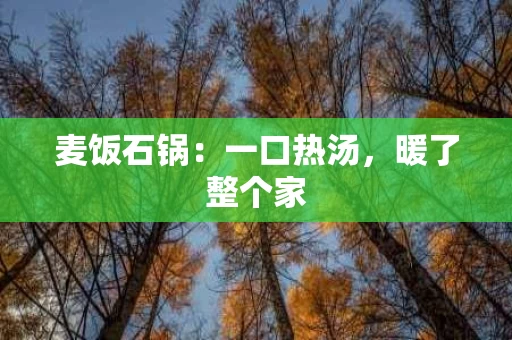 麦饭石锅:一口热汤,暖了整个家 麦饭石锅:一口热汤,暖了整个家