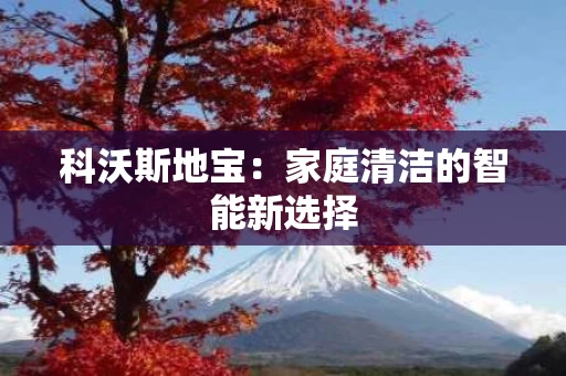 科沃斯地宝：家庭清洁的智能新选择