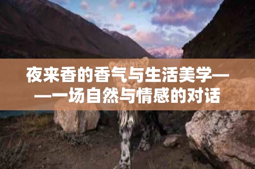 夜来香的香气与生活美学——一场自然与情感的对话