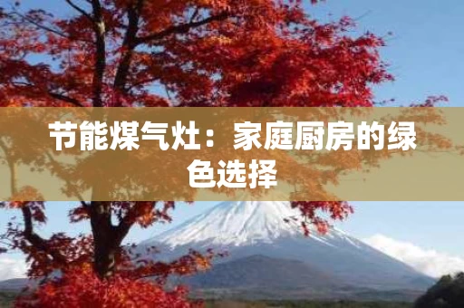 节能煤气灶：家庭厨房的绿色选择