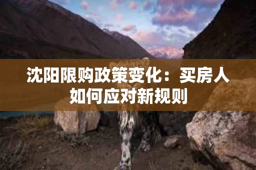 沈阳限购政策变化：买房人如何应对新规则