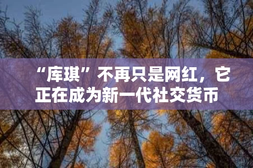 “库琪”不再只是网红，它正在成为新一代社交货币