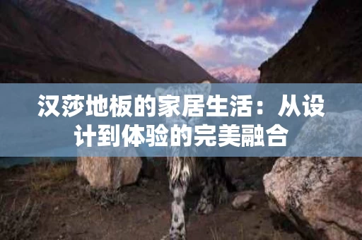 汉莎地板的家居生活：从设计到体验的完美融合