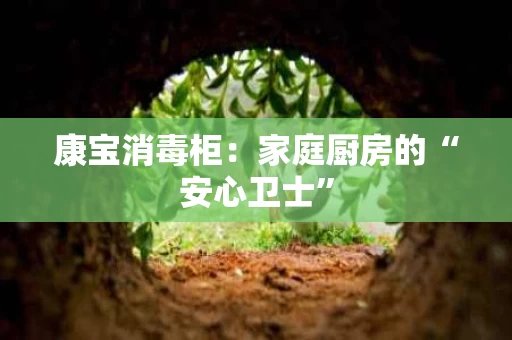 康宝消毒柜:家庭厨房的“安心卫士” 康宝消毒柜:家庭厨房的“安心卫士”