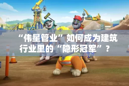 “伟星管业”如何成为建筑行业里的“隐形冠军”？