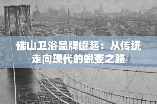 佛山卫浴品牌崛起:从传统走向现代的蜕变之路 佛山卫浴品牌崛起:从传统走向现代的蜕变之路