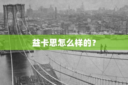益卡思怎么样的? 益卡思怎么样的?