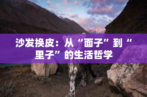 沙发换皮：从“面子”到“里子”的生活哲学