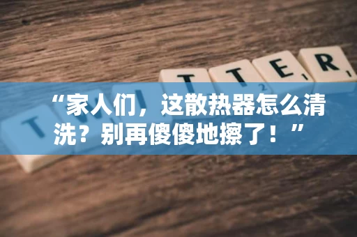 “家人们,这散热器怎么清洗?别再傻傻地擦了!” “家人们,这散热器怎么清洗?别再傻傻地擦了!”