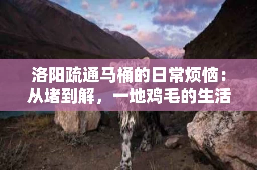 洛阳疏通马桶的日常烦恼:从堵到解,一地鸡毛的生活 洛阳疏通马桶的日常烦恼:从堵到解,一地鸡毛的生活