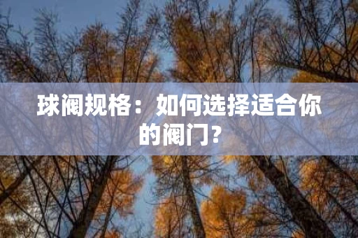 球阀规格:如何选择适合你的阀门? 球阀规格:如何选择适合你的阀门?