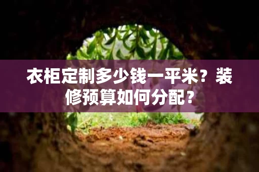 衣柜定制多少钱一平米？装修预算如何分配？