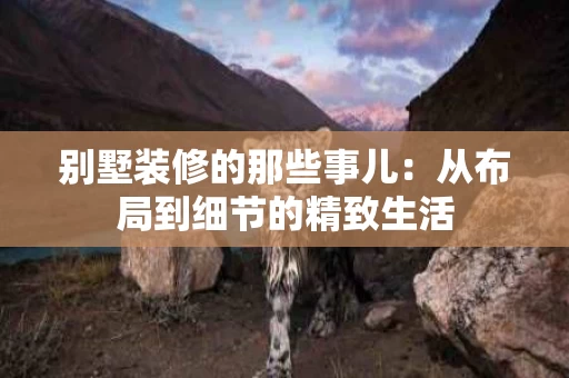 别墅装修的那些事儿:从布局到细节的精致生活 别墅装修的那些事儿:从布局到细节的精致生活