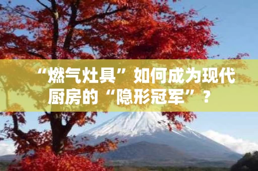 “燃气灶具”如何成为现代厨房的“隐形冠军”? “燃气灶具”如何成为现代厨房的“隐形冠军”?