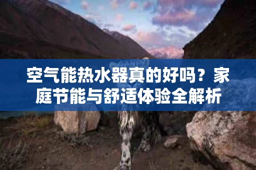 空气能热水器真的好吗？家庭节能与舒适体验全解析