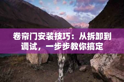 卷帘门安装技巧：从拆卸到调试，一步步教你搞定