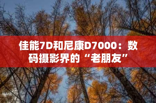 佳能7D和尼康D7000:数码摄影界的“老朋友” 佳能7D和尼康D7000:数码摄影界的“老朋友”