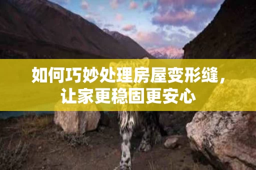 如何巧妙处理房屋变形缝,让家更稳固更安心 如何巧妙处理房屋变形缝,让家更稳固更安心
