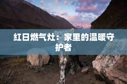 红日燃气灶:家里的温暖守护者 红日燃气灶:家里的温暖守护者