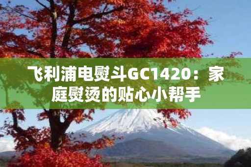 飞利浦电熨斗GC1420:家庭熨烫的贴心小帮手 飞利浦电熨斗GC1420:家庭熨烫的贴心小帮手