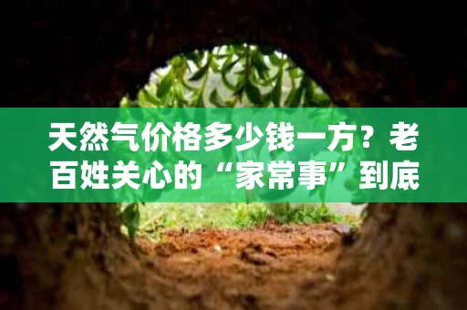 天然气价格多少钱一方?老百姓关心的“家常事”到底怎么算? 天然气价格多少钱一方?老百姓关心的“家常事”到底怎么算?