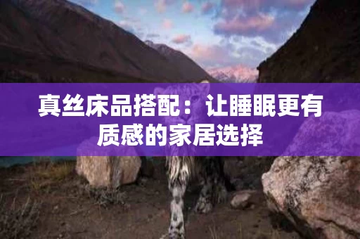 真丝床品搭配:让睡眠更有质感的家居选择 真丝床品搭配:让睡眠更有质感的家居选择