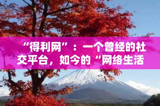 “得利网”：一个曾经的社交平台，如今的“网络生活”指南