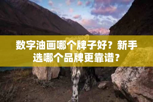 数字油画哪个牌子好?新手选哪个品牌更靠谱? 数字油画哪个牌子好?新手选哪个品牌更靠谱?