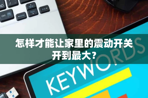 怎样才能让家里的震动开关开到最大？