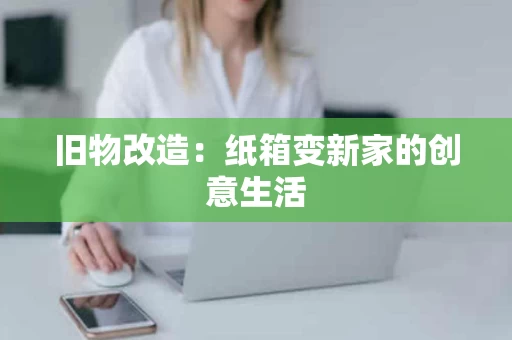 旧物改造:纸箱变新家的创意生活 旧物改造:纸箱变新家的创意生活