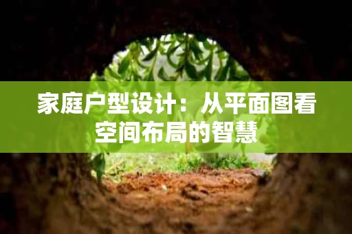 家庭户型设计:从平面图看空间布局的智慧 家庭户型设计:从平面图看空间布局的智慧