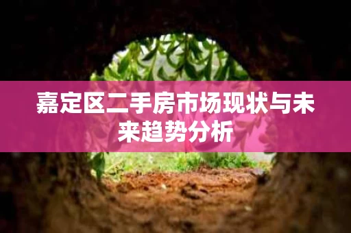 嘉定区二手房市场现状与未来趋势分析