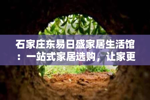 石家庄东易日盛家居生活馆:一站式家居选购,让家更有质感 石家庄东易日盛家居生活馆:一站式家居选购,让家更有质感