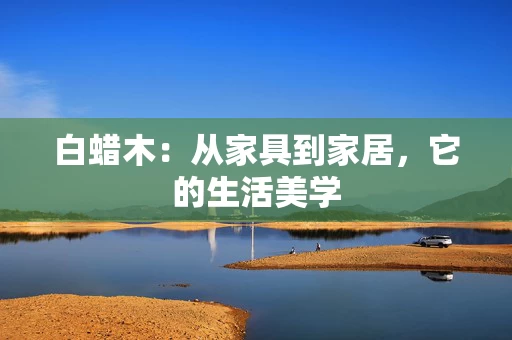 白蜡木：从家具到家居，它的生活美学