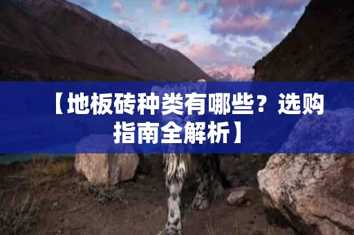 【地板砖种类有哪些?选购指南全解析】 【地板砖种类有哪些?选购指南全解析】
