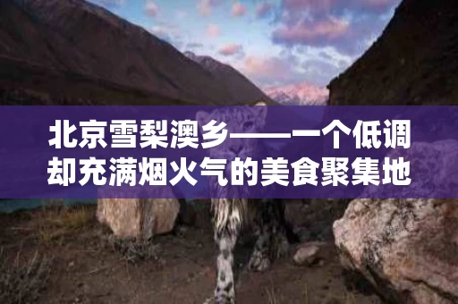 北京雪梨澳乡——一个低调却充满烟火气的美食聚集地
