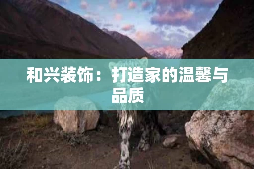 和兴装饰:打造家的温馨与品质 和兴装饰:打造家的温馨与品质