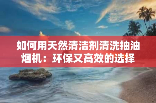 如何用天然清洁剂清洗抽油烟机：环保又高效的选择